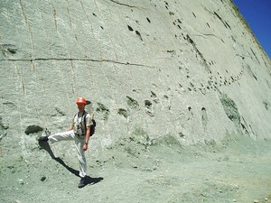 Bolivia Punya 5.000 Jejak Kaki Dinosaurus