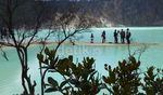 Menikmati Keindahan Kawah Putih