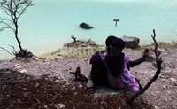 Pengunjung pun mengabadikan diri di keindahan Kawah Putih.