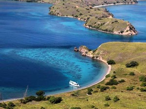 Inilah Keindahan Pulau Komodo yang Harus Anda Lihat