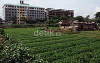 Lahan tidur itu kini semakin bermanfaat, tidak hanya untuk petani tetapi juga bagi kesegaran udara di sekitarnya.