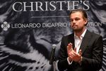 Upaya Leonardo DiCaprio Melestarikan Lingkungan