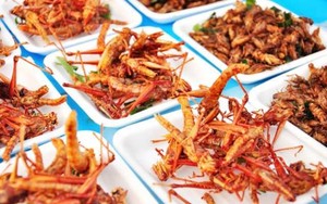Atasi Kelaparan di Dunia, PBB Promosikan Makanan Serangga