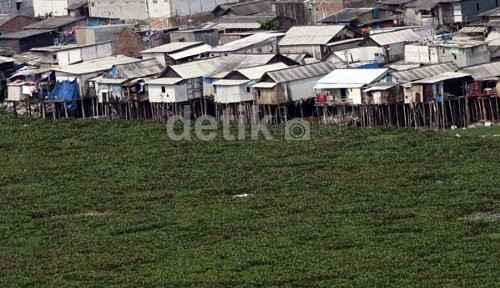 Ahok: Ada Tuan Tanah Gerakkan Massa di Waduk Pluit