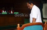 Luthfi Bersaksi di Sidang Suap Impor Daging