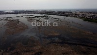 Tampak dari ketinggian waduk pluit sudah lebih bersih.