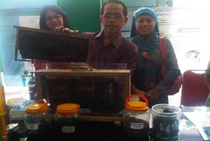 Peneliti Unair Obati Pasien HIV dengan Propolis Lebah