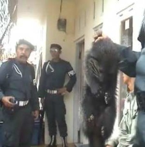 Hewan Langka Berhasil Diselamatkan dari Rumah Warga di Tasikmalaya