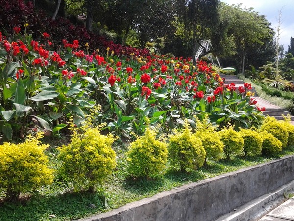 Kota Batu Punya Taman 1000 Bunga Untuk Katakan Cinta