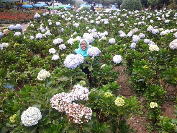 Kota Batu Punya Taman 1000 Bunga Untuk Katakan Cinta