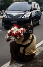 Berjualan Bunga untuk Biaya Sekolah