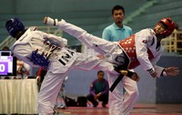 Atlet pelatnas taekwondo Indonesia, tengah berlatih serius, untuk menghadapi event Kejuaraan Junior Asia, Kejuaraan Dunia, dan Sea Games di Myanmar.