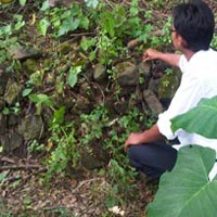 Candi Diduga Peninggalan Kerajaan Airlangga Ditemukan di Lamongan