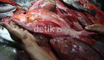 Nikmatnya Ikan Bakar di Pasar Tua Bitung