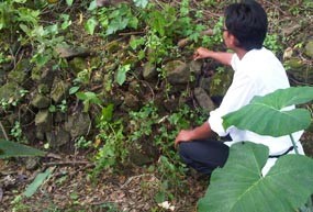 Candi di Lamongan Dikenal Punya Mitos Turunkan Pangkat
