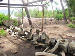Rangka Paus Biru yang Terbengkalai di Lembata, NTT