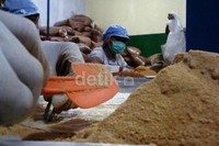 Produksi gula semut organik asal Banyumas Jawa Tengah ini dikelola oleh Pusat Pembangan Produk Rakyat di Kecamatan Cilongok, Banyumas, Jawa Tengah. Arbi Anugrah/detikFoto.