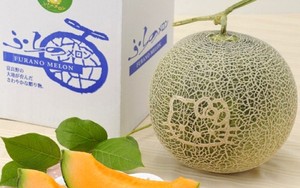 Berlogo Hello Kitty, Buah Melon Ini Dijual Rp 478 Ribu Perbuah