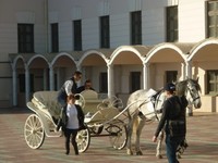 Ada banyak hal yang bisa Anda lakukan di Kazan. Setelah berkunjung ke masjid, Anda bisa naik delman istimewa ini untuk berputar-putar di bagian Kremlin. Banyak pemandangan dan taman-taman cantik di sini (Nurul/detikTravel)