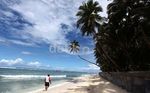 Pesona Pantai Pulau Miangas