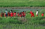 Anak Usia Dini Mengenal Lingkungan Pertanian