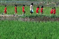 Mereka sangat senang bisa mendapatkan pengetahuan langsung mengenai lingkungan pertanian.