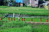 Dengan belajar dari alam, anak dapat mengamati sesuatu secara konkret.