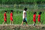 Anak Usia Dini Mengenal Lingkungan Pertanian