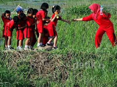 Anak Usia Dini Mengenal Lingkungan Pertanian
