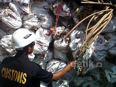 Bea Cukai Amankan 20 Ton Rotan Mentah