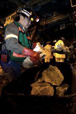 28 Pekerja Tewas dalam Musibah Freeport
