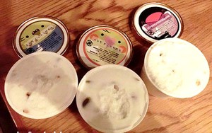 Nyam-nyam, Uniknya Es Krim Rasa Burung Parkit!