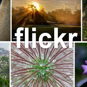 Flickr akan Merilis Fitur Cetak Foto