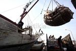 Jelang Ramadan, Kenaikan Harga Beras Tidak Signifikan