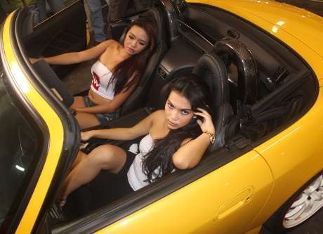 Wollsdorf, Kulit Sapi untuk Jok Mobil Segmen Kelas Atas