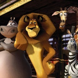 Ini Para Artis Indonesia Pengisi Suara Film Animasi Madagascar 3