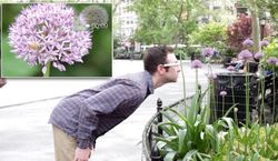 Aksi Konyol Fotografer Menjepret dengan Google Glass