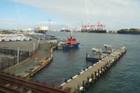 Pemandangan Pelabuhan Fremantle. Jejeran kapal mengeluarkan isi kargonya ke sebuah lapangan besar. Kereta Transperth menjanjikan pemandangan asyik di luar jendela, termasuk garis pantai yang panjang di Fremantle (Fitraya/detikTravel)