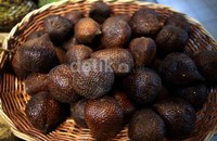Pemerintah China melarang buah salak dari Indonesia masuk ke negaranya dengan alasan ditemukannya organisme penggangu tanaman (OPT) dan adanya kandungan logam berat yang tidak sesuai dengan ketentuan China.
