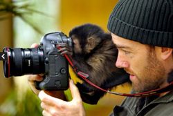 Menggemaskan, Binatang Berprofesi Fotografer