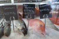 Kailis adalah sebuah toko ikan segar sekaligus restoran. Pengunjung bisa membeli aneka ikan seperti salmon, red emperor atau barramundi (Fitraya/detikTravel)