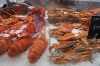 Selain ikan segar, ada aneka lobster segar yang bisa dipilih pengunjung. Mereka bisa membeli untuk makan di tempat atau dimasak sendiri di rumah (Fitraya/detikTravel)