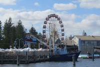 Kita juga bisa melihat bianglala di taman ria Kota Fremantle. Beberapa burung camar nangkring di atas pagar kayu atau geladak kapal (Fitraya/detikTravel)