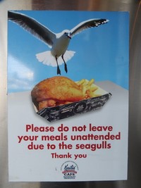 Ada imbauan di pagar restoran Do Not Feed the Seagulls dan di tembok restoran Please Do Not Leave Your Meals Unattended Due To The Seagulls. Rupanya mereka para pencuri makanan! (Fitraya/detikTravel)