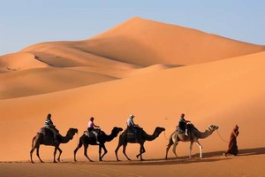 Ini Dia Jajaran Pria Terkuat di Arab