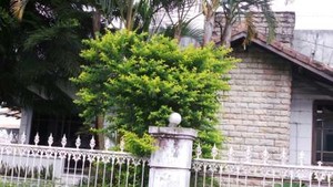 Berkunjung ke Cipanas, Luthfi Pilih Menginap di Hotel