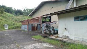 Tak Terawat, Bekas Pabrik Milik Luthfi di Bogor Jadi Tempat Main Bocah
