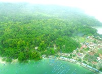 Lepas Pantai Pangandaran, hijaunya pepohonan terlihat jelas dari atas sini. Malah, deretan perahu yang sedang berlabuh juga masih bisa terlihat (Shafa/detikTravel)