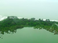 Antara sungai dan laut, ada garis daratan yang ditutupi pepohonan rimbun, sungguh pemandangan yang takkan bosan dipandang (Shafa/detikTravel)