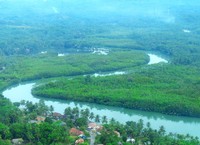 Selain wisata pantai, Ciamis juga punya wisata sungai. Salah satu bagian dari sungai yang terkenal sebagai objek wisata adalah Green Canyon, dan inilah Sungai Cukang Taneuh (Shafa/detikTravel)
